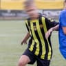 Arnas Švoba
