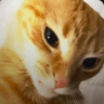 Litzy Erazo