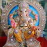 AMARNEHA 6786