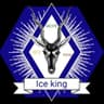 ICE KINZ